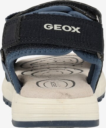 GEOX Open schoenen 'Alben' in Blauw