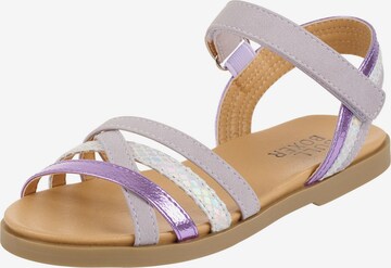 BULLBOXER Sandal ' SADIE ' in Lila: predná strana