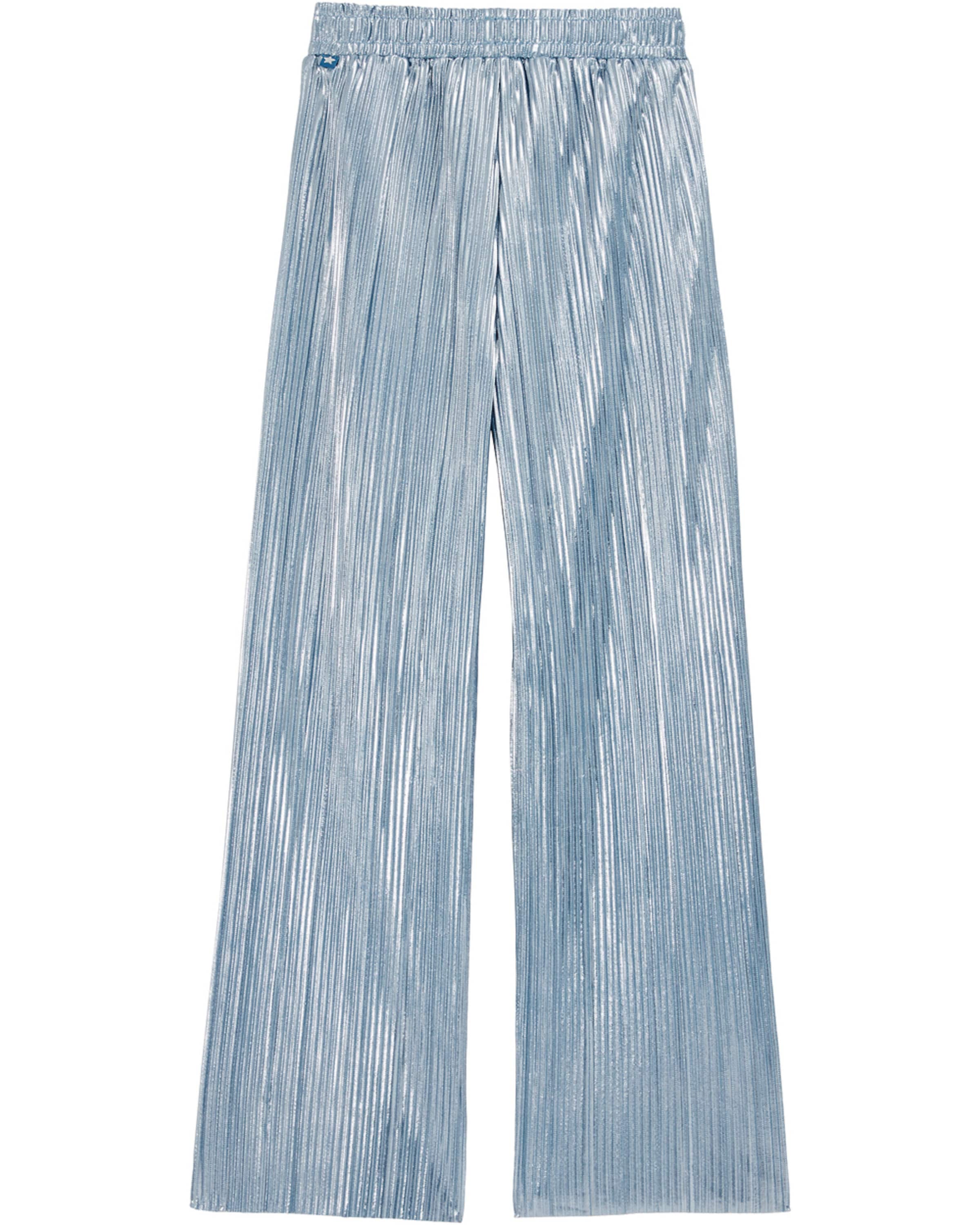 zils WE Fashion Standarta Bikses