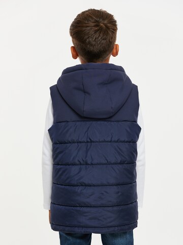 Gilet di Threadboys in blu