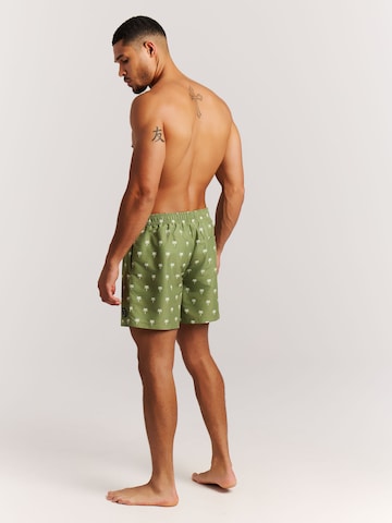 PROTEST Board Shorts 'PRTMascot' in Green