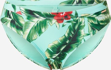 Superdry Dół bikini w kolorze zielony: przód