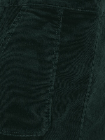 Dorothy Perkins Petite Obleka | zelena barva
