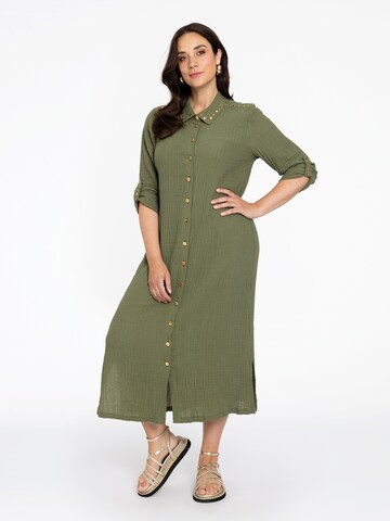 Yoek Shirt Dress in Green