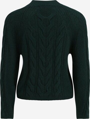 Banana Republic Petite Sweater in Green