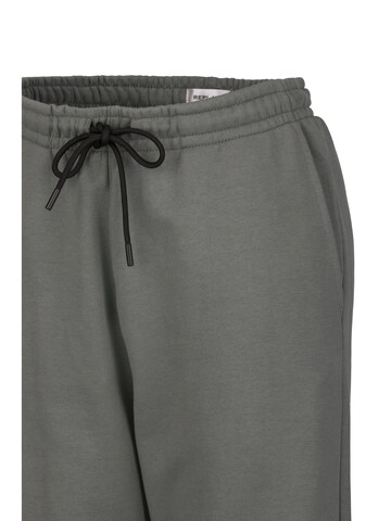 REPLAY Regular Jogginghose 'DSP' in Grau