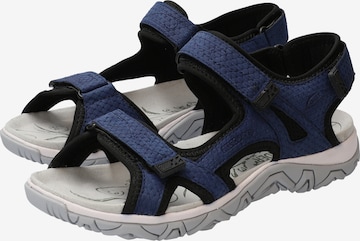 Allrounder Hiking Sandals in Blue