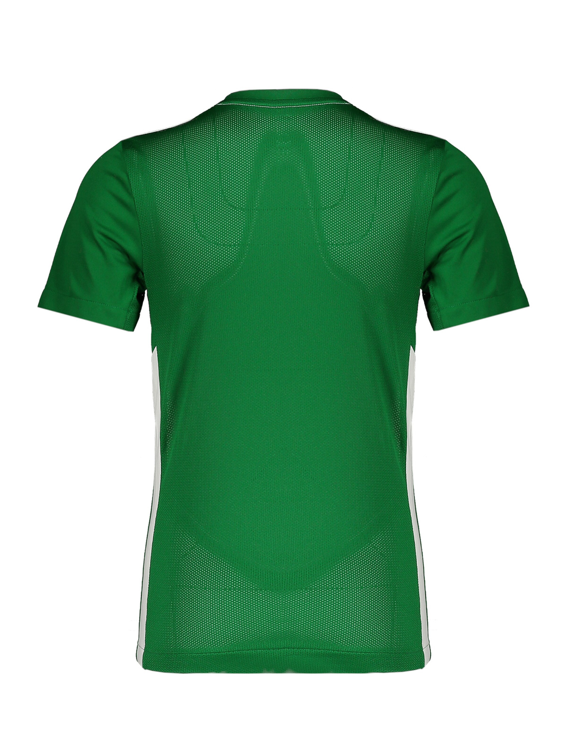 NIKE Performance Shirt in Green