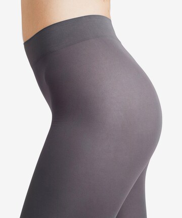 FALKE Fine Tights in Grey