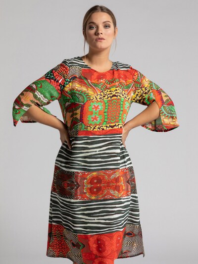 Ulla Popken Šaty - mix barev, Model/ka