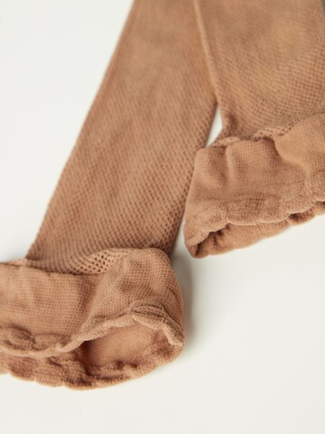 CALZEDONIA Knee High Socks in Beige: front