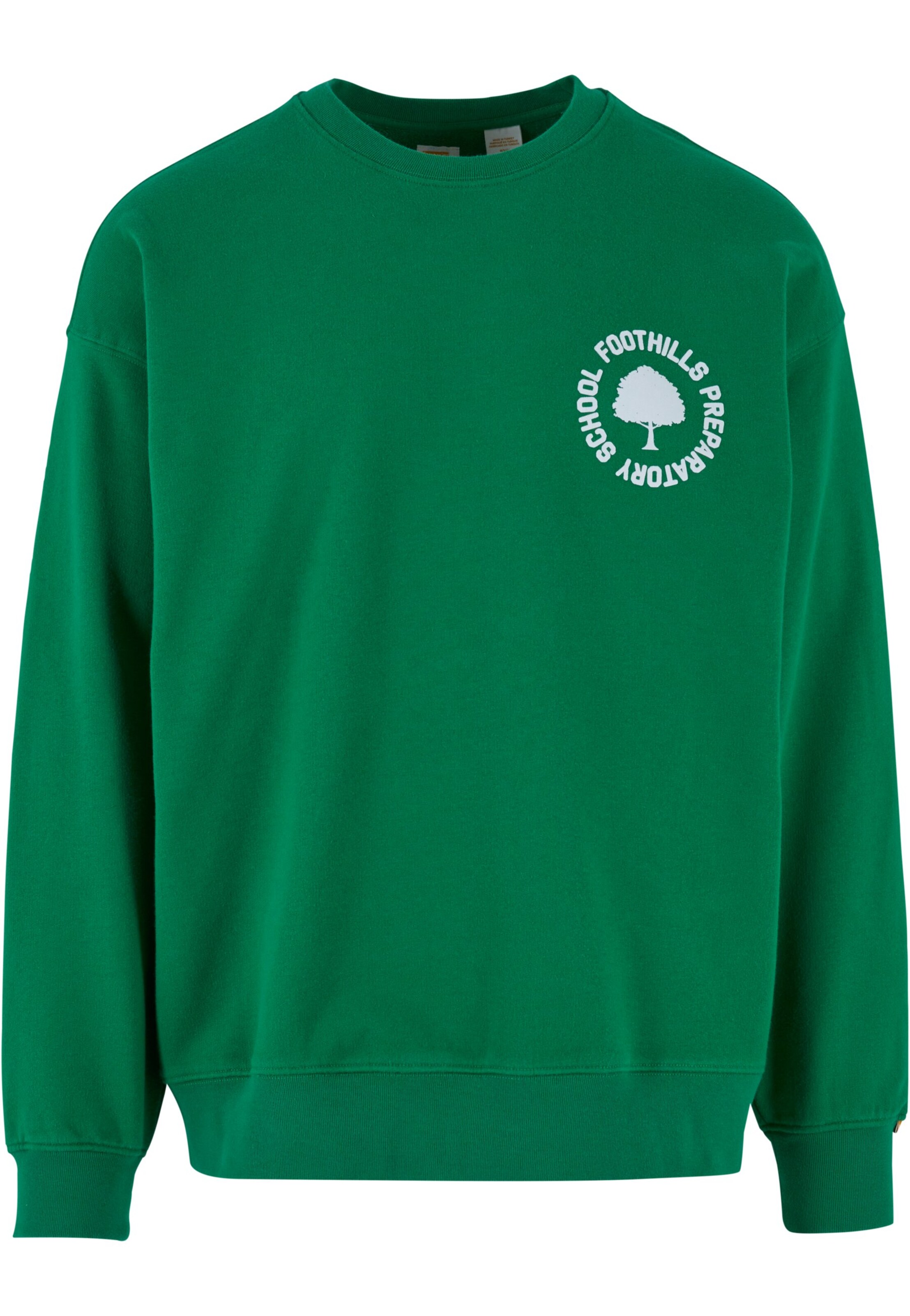 LEVI'S ® Sweatshirt 'Gold Tab' in Green / White, Item view