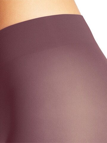 FALKE Strumpfhose 'Pure Matt'‌‌‌‌‌‌‌‌‌ in Braun