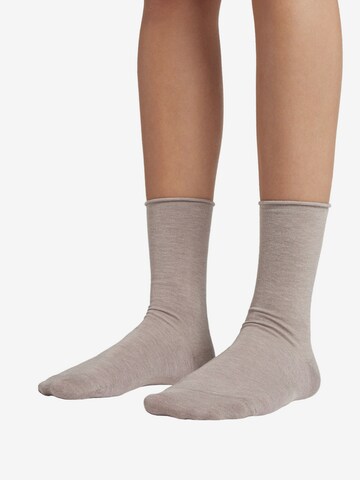 CALZEDONIA Socken in Beige: predná strana