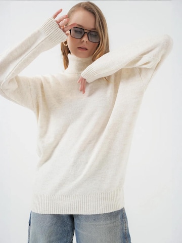 Bigdart Trui in Beige