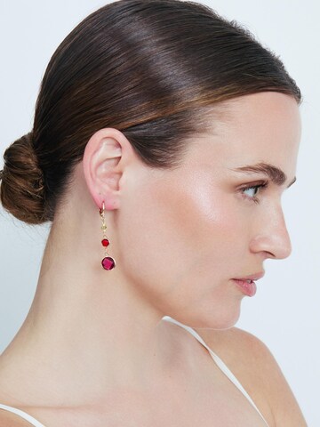 Luxenter Earrings 'Huis' in Mixed colors: front