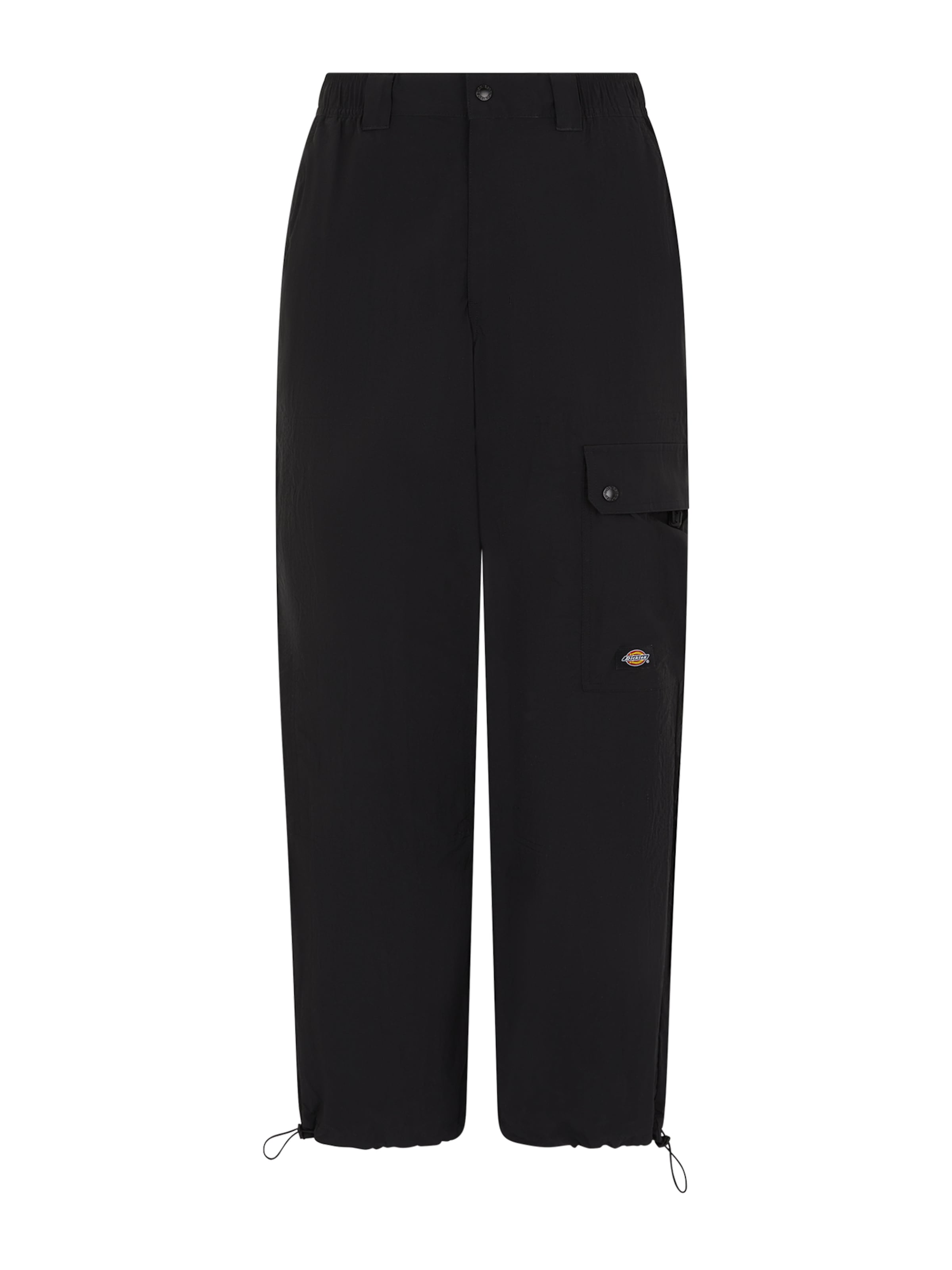 Regular Pantaloni cu buzunare 'JACKSON' de la DICKIES pe negru: față