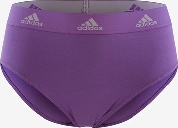 ADIDAS SPORTSWEAR Slip in Mischfarben