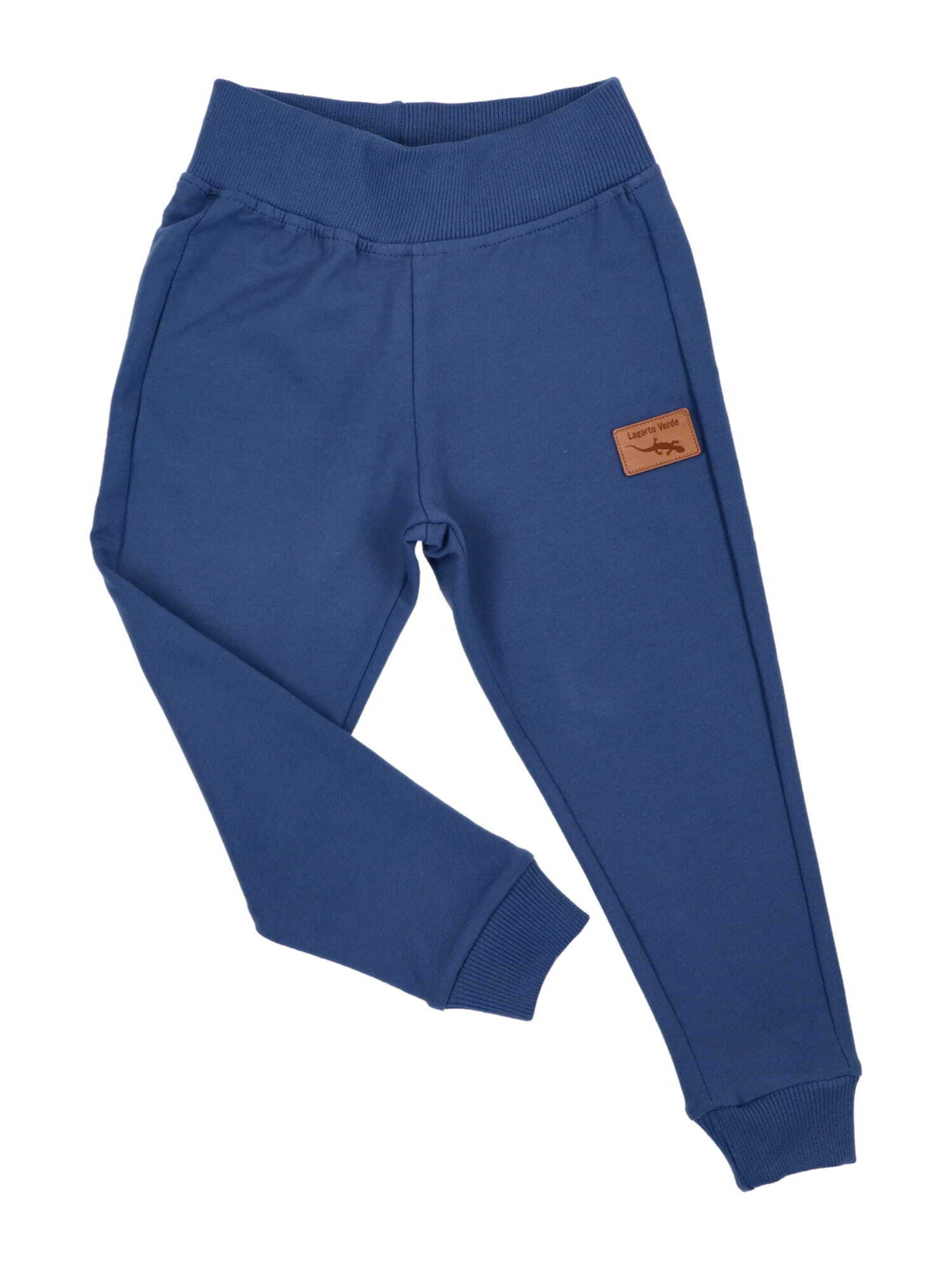 Lagarto Verde Regular Workout Pants in Blue