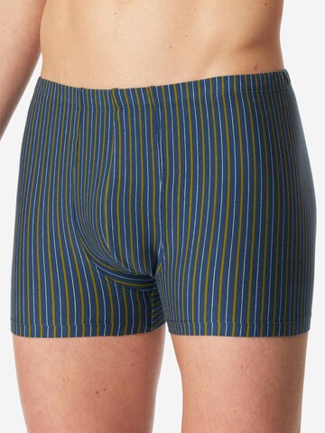 SCHIESSER Boxershorts '95/5 Essentials - Organic Cotton' in Blauw