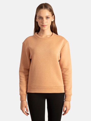 AntiochSweater majica - smeđa boja