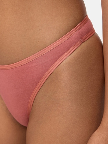 Nur Die Thong in Mixed colors