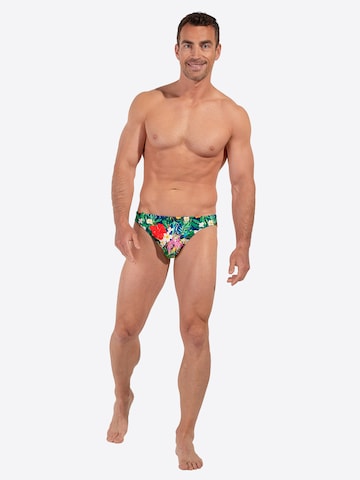 HOM Badehose ' Swim Micro Briefs Peacock ' in Grün