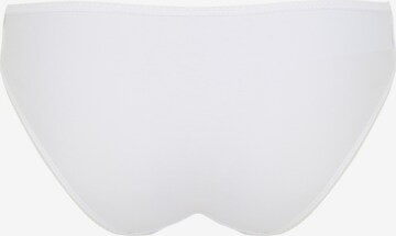 Albert Schäfer Panty in White