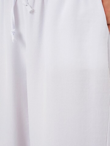 Bigdart Wide leg Pants in White