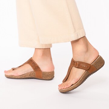 JOSEF SEIBEL T-Bar Sandals 'Natalya 17' in Brown