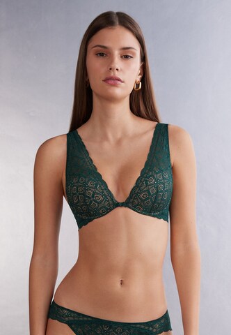 INTIMISSIMI T-shirt Bra in Green: front