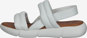Sandales ILC en blanc