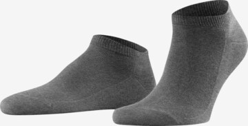 FALKE Socks 'Family' in Grey: front