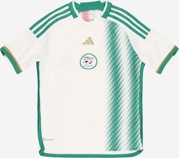 ADIDAS PERFORMANCE - Camiseta funcional 'Algeria 22 Home' en blanco: frente