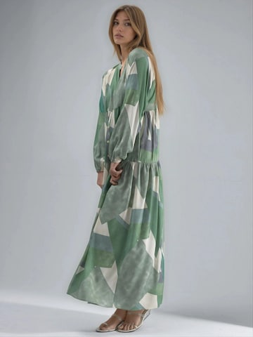 Hiccup Shirt Dress in Green