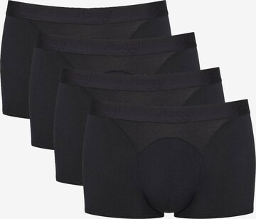 SLOGGI Boxershorts in Schwarz: predná strana