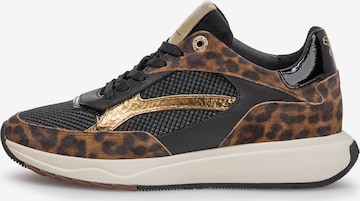 Sneaker bassa 'Suvi 02' di Floris van Bommel in marrone: frontale