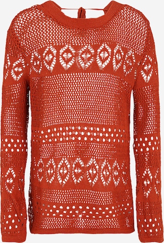 Dorothy Perkins Tall Sweater in Orange: front