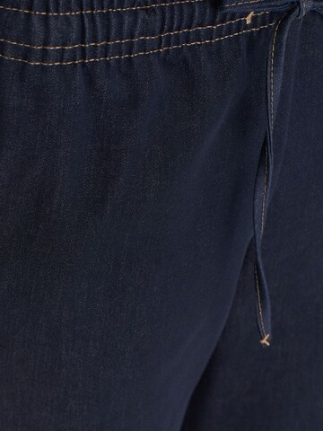 Dilvin Wide leg Trousers in Blue