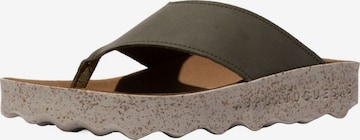 Mule Asportuguesas en vert : devant