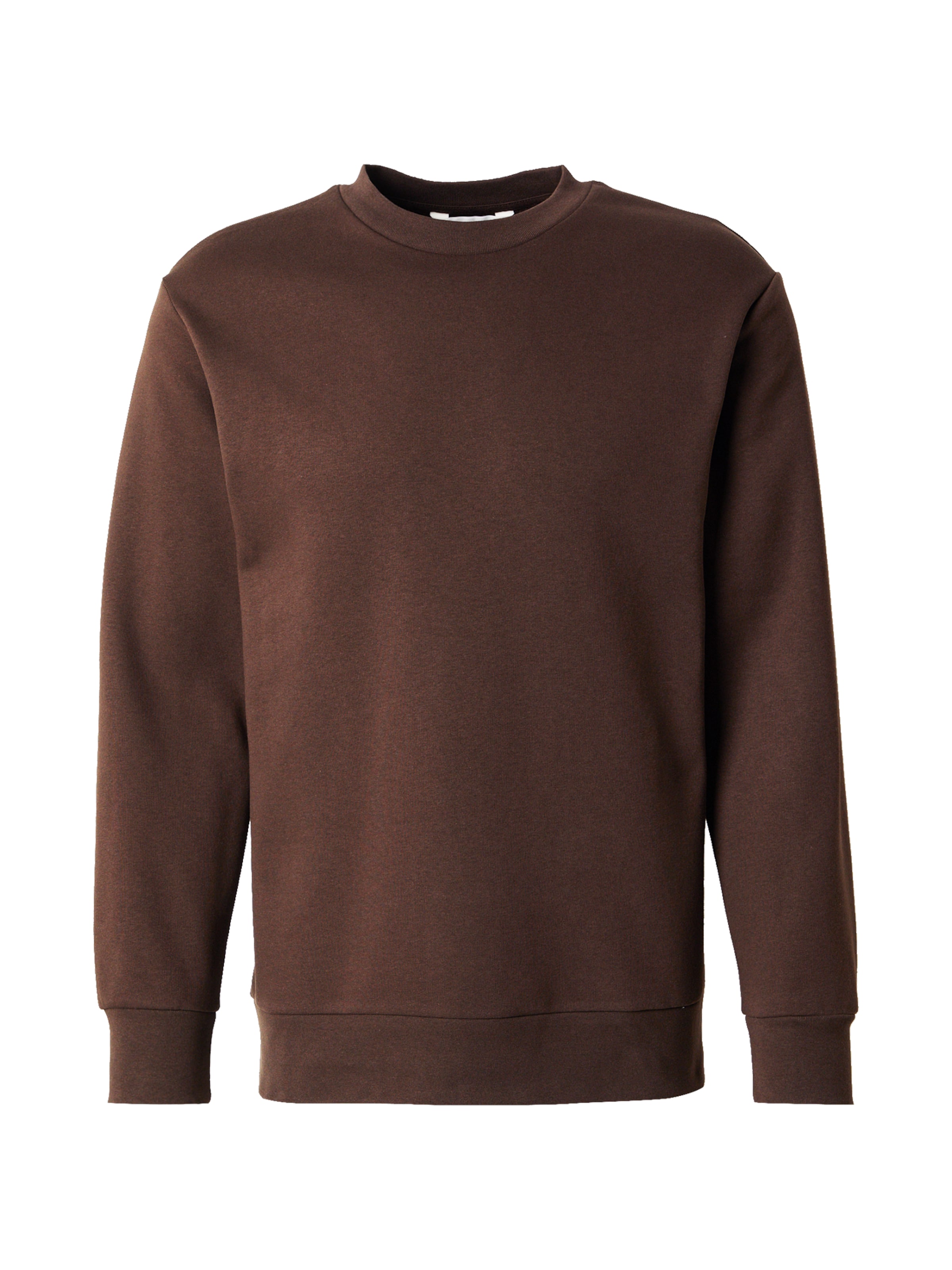 SELECTED Μπλούζα φούτερ 'SLHDAN' σε καφέ: μπροστά