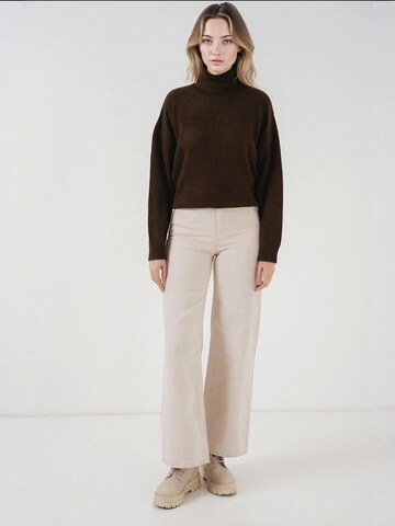 Pull-over Bigdart en marron