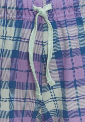 H.I.S Shorty in Grün