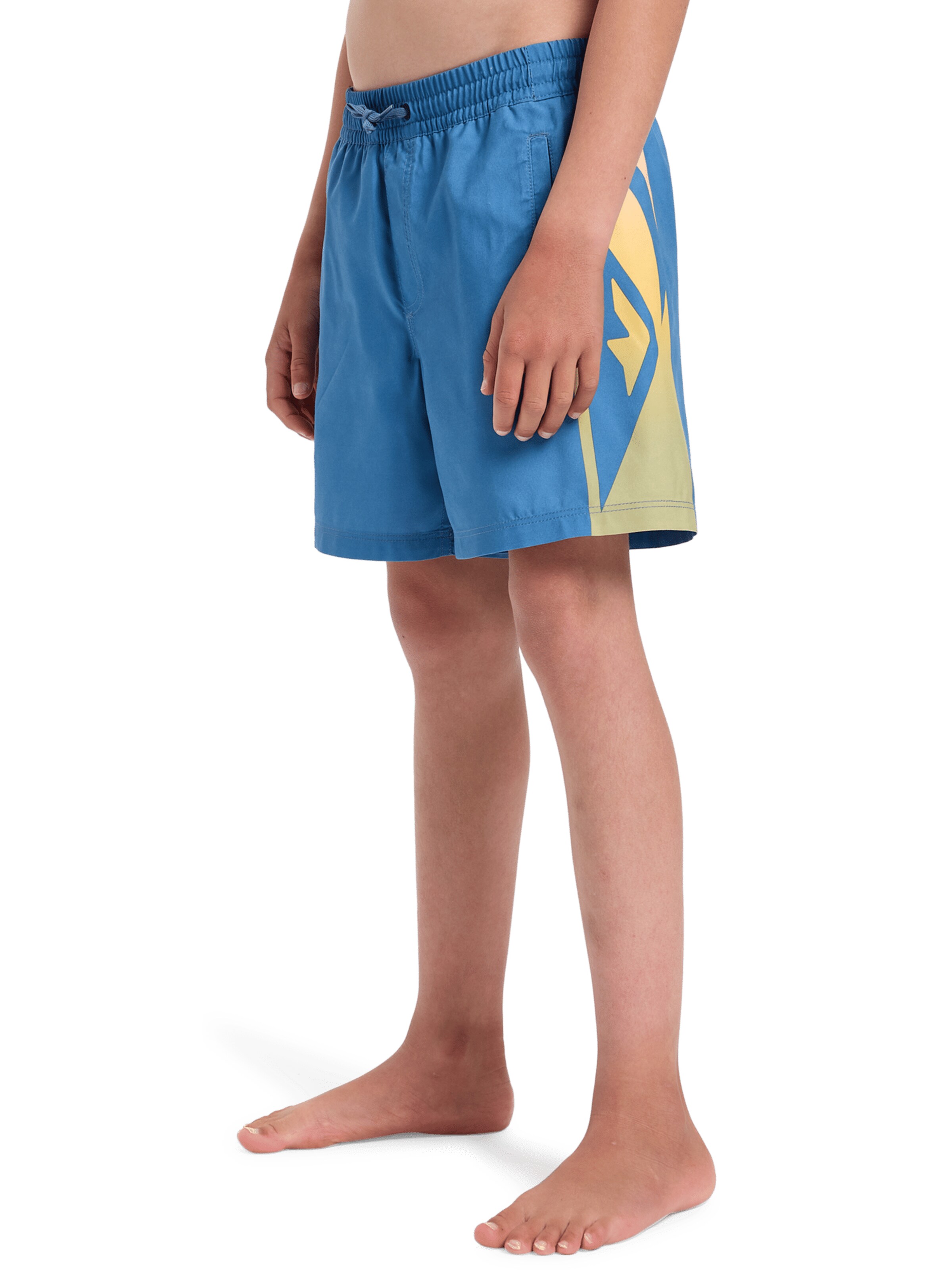 QUIKSILVER Sportbadeshorts 'Everyday Holmes 14' in Blau