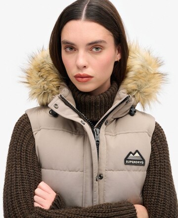 Gilet Superdry en beige