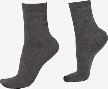 CALZEDONIA Socks in Grey: front