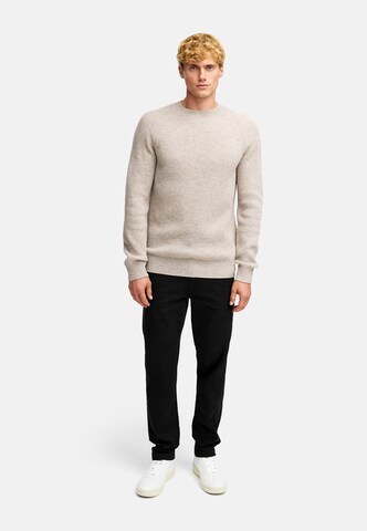 Kronstadt Pullover ' Dorsey ' in Beige