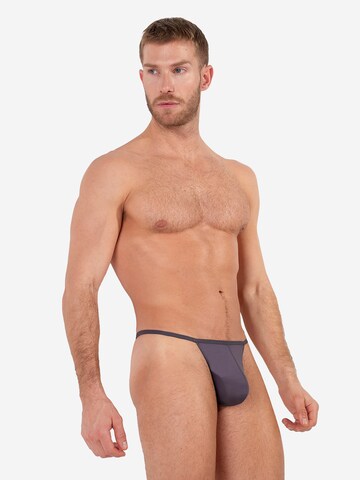 Slip ' Plumes ' HOM en gris
