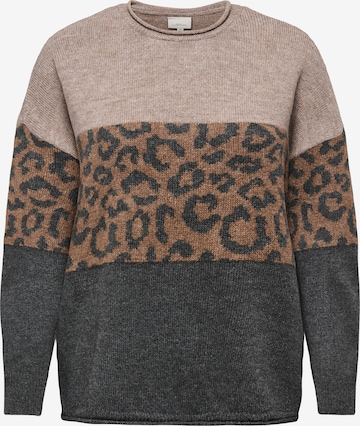 ONLY Carmakoma Pullover 'CARJADE' in Beige: Vorderseite