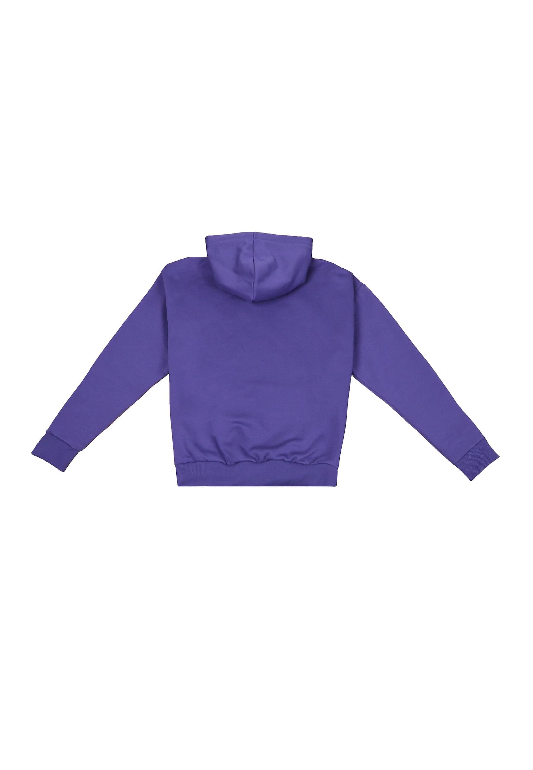 Dropsize Sweatshirt 'Embo' in Blau